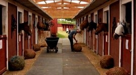 Животноводческое покрытие