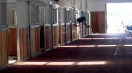 Резиновые покрытия для конюшни