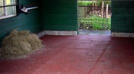 Пол в конюшне