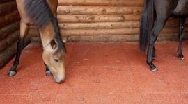 Маты для крс